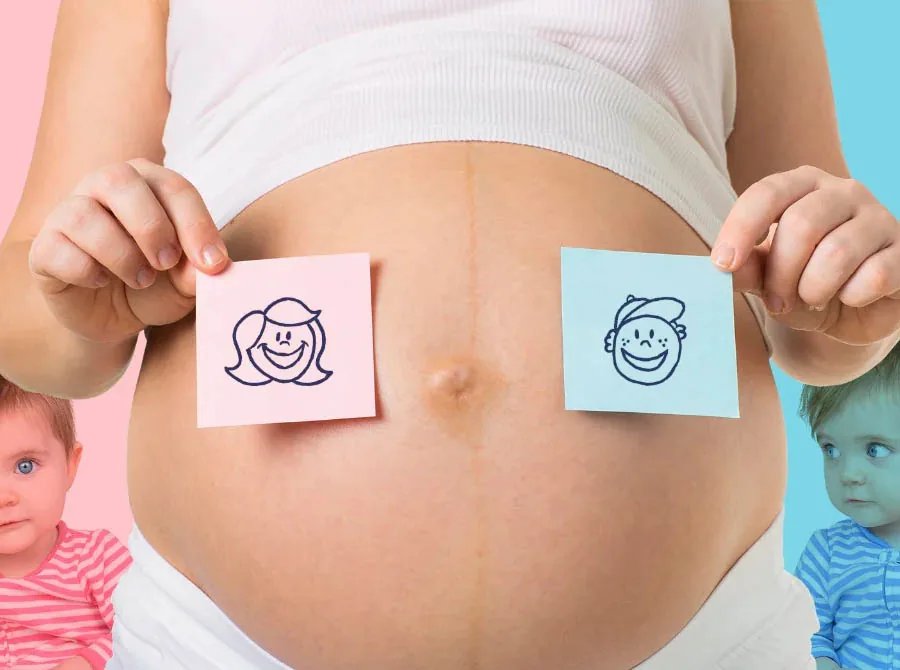 Gestante — exame de sexagem fetal